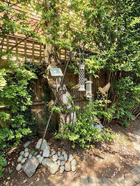 Fir Tree House